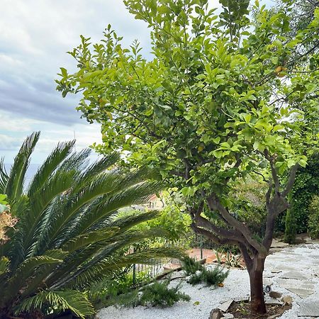 Villa Cielo Costarainera Buitenkant foto