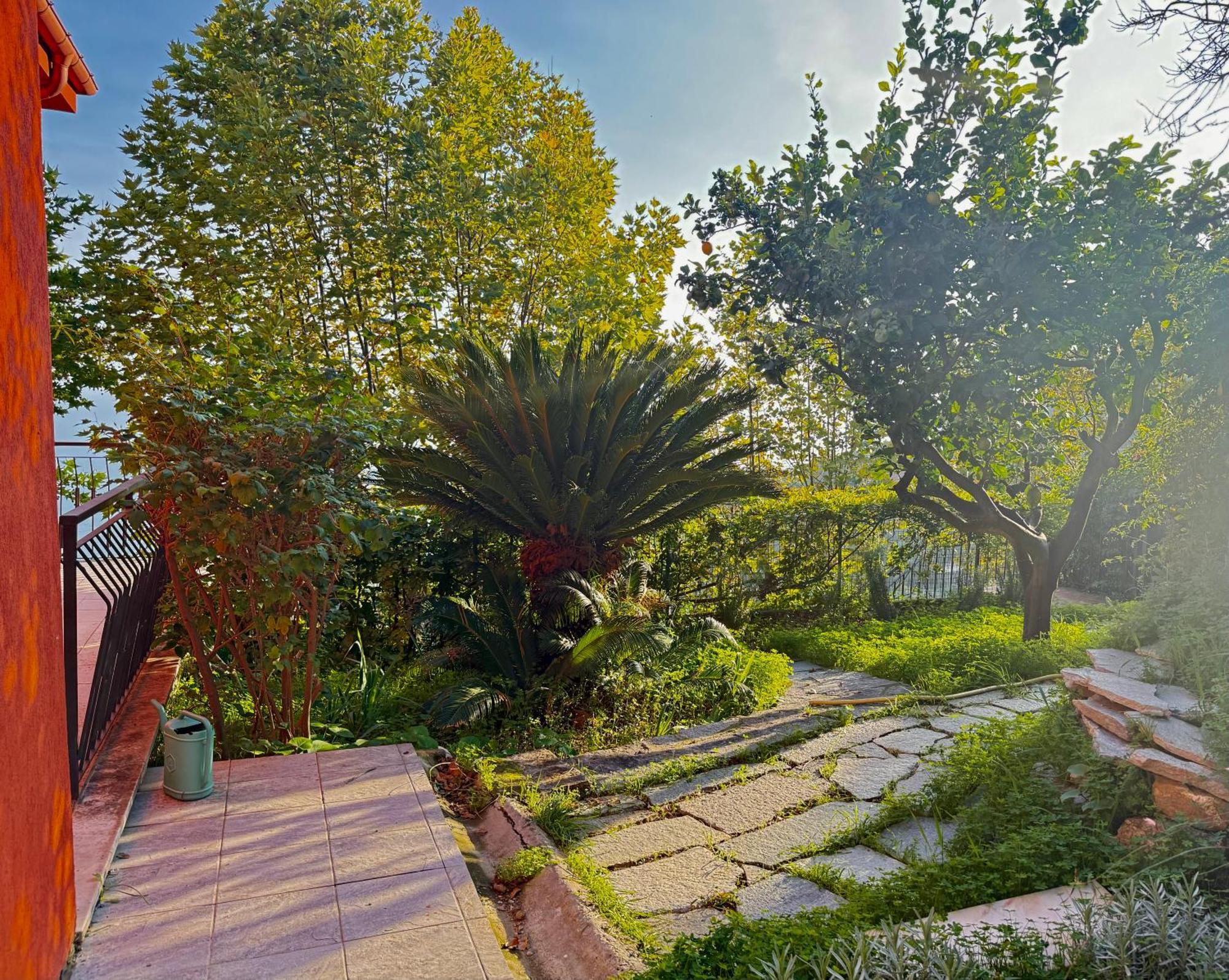 Villa Cielo Costarainera Buitenkant foto