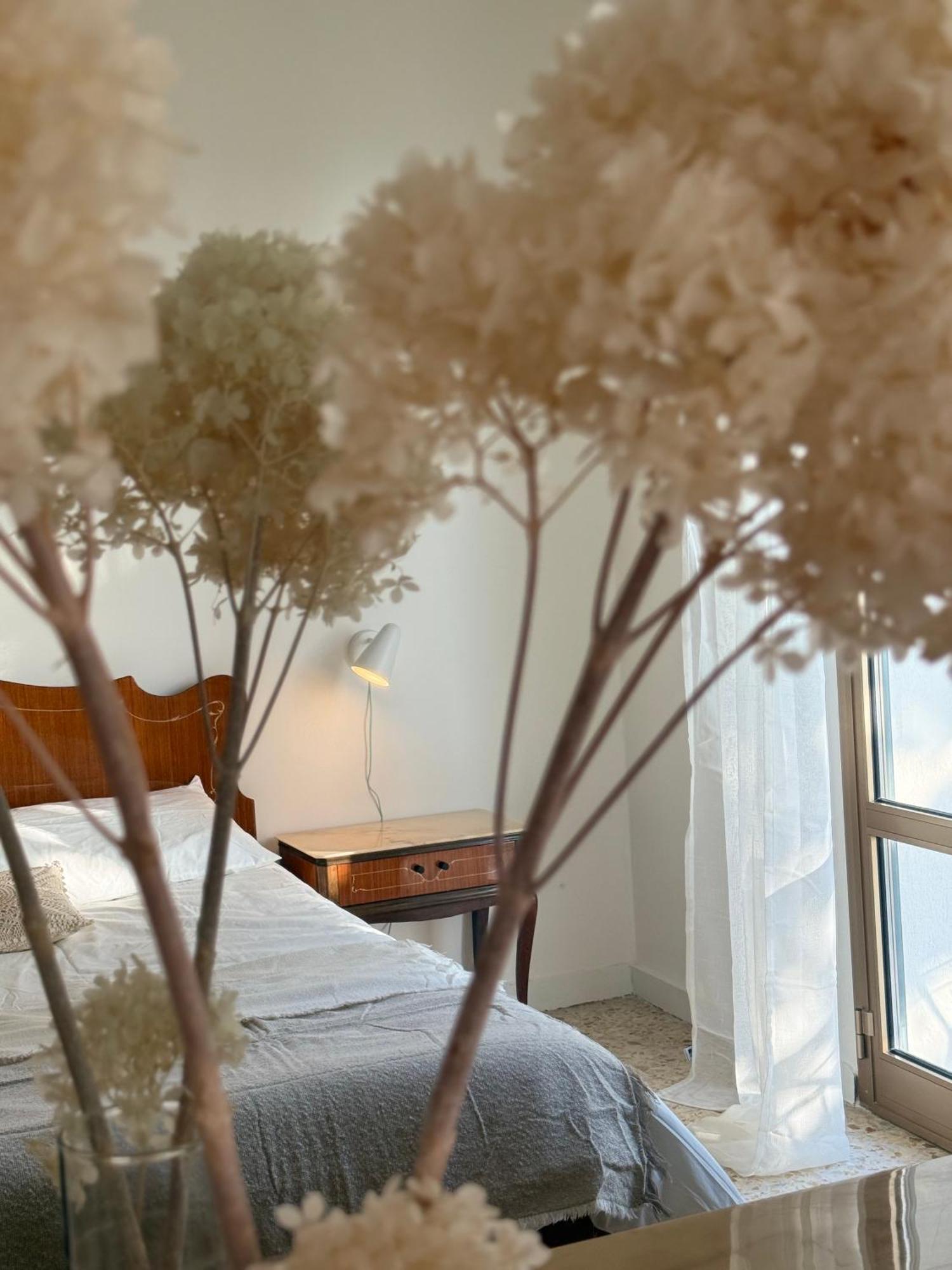 Villa Cielo Costarainera Buitenkant foto