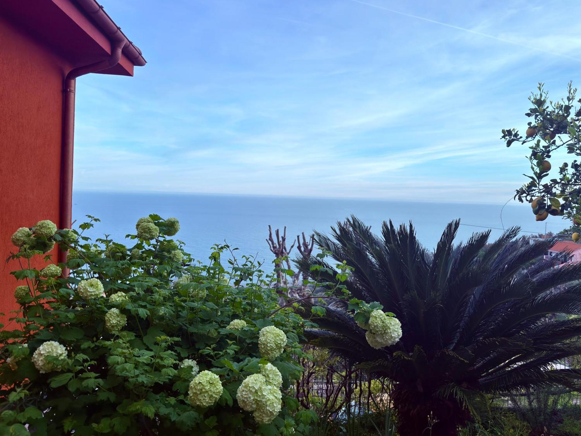Villa Cielo Costarainera Buitenkant foto